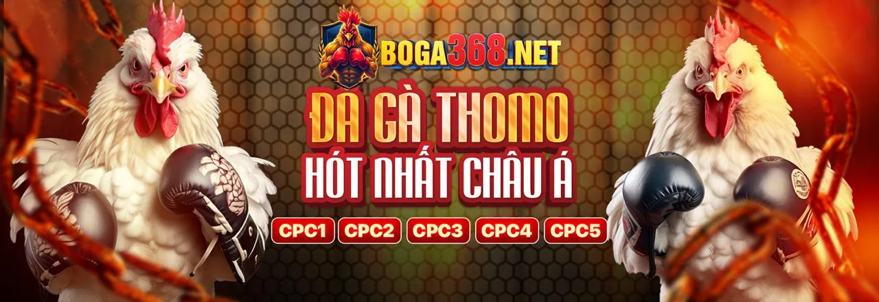 Khuyến Mãi Độc Quyền T88 2026