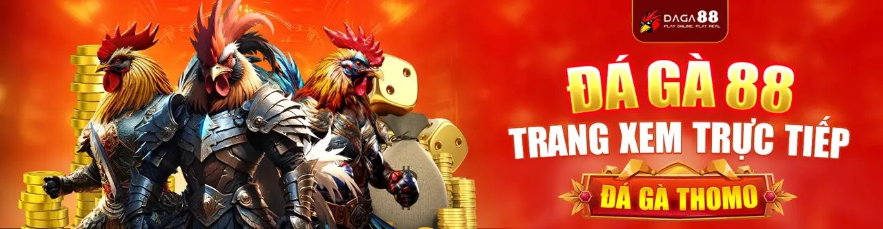 Đá gà trực tuyến kịch tính trên T88