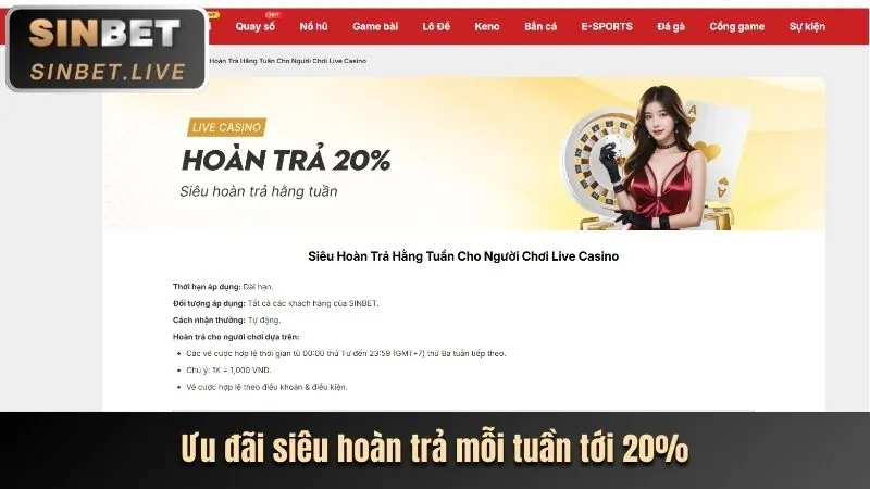 Biểu ngữ hoàn trả tiền cược thể thao hàng tuần tại T88.
